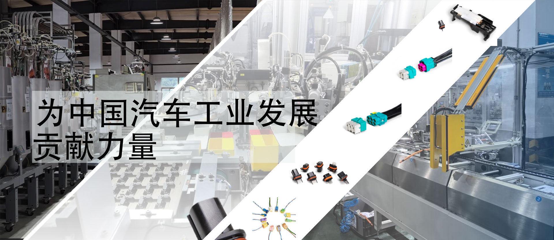 开云官方网页版在线